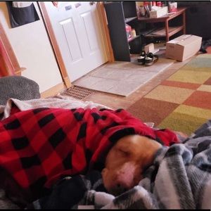 Meet your Posher, Death